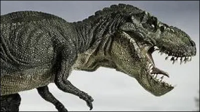 Comment appelle-t-on ce dinosaure ?