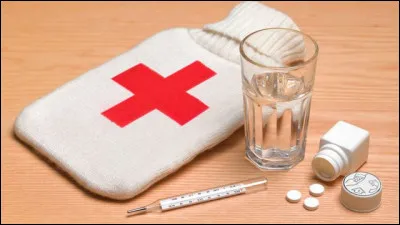 Le paludisme est une maladie transmise par...