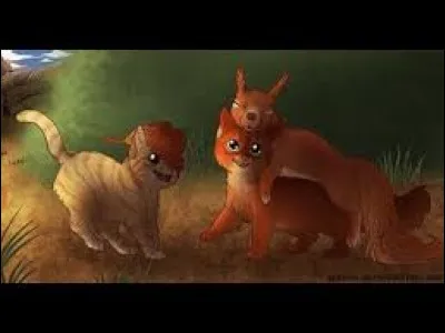 A-t-il eu des chatons ?