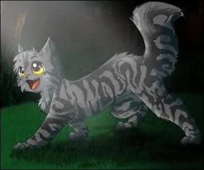 Quel chat rencontre-t-il lors d'une escapade en forêt qui deviendra son meilleur ami ?