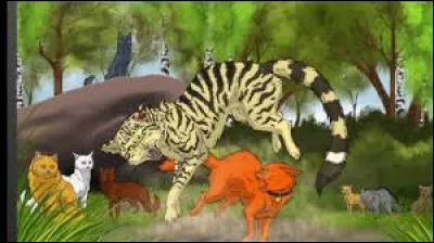 Arrivé dans son Clan, un chat l'attaque pour ses origines de chat domestique. Quel est son nom ?