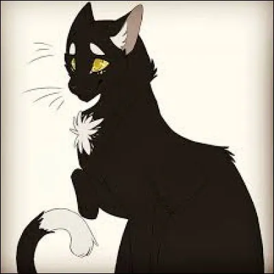 Mais malheureusement un de leurs amis ne se fera jamais baptiser guerrier, pourquoi ?