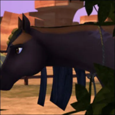 À qui appartient ce cheval sauvé de M. Garyson par Lucky et comment s’appelle-t-il ?