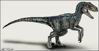 Comment s'appelle ce dinosaure ?