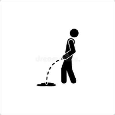 Vous avez une soudaine envie d'uriner, quelle phrase conviendra le mieux ?