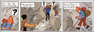 Angélisme ou méconnaissance de l'anglais ? La question reste ouverte, mais le sherpa a été pourtant clair : Milou ...