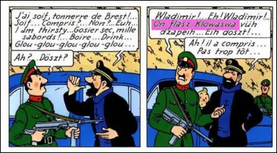 Le capitaine, quant à lui, ne maîtrise absolument pas le syldave : que dit le garde ?