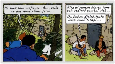 C'est peut-être un détail pour vous, mais que se disent ces deux Sondonésiens, même s'ils ne jouent pas du piano debout ?