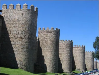 Cette image correspond à...