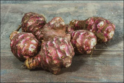 C'est ainsi que plus tard (en 1613), lors d'une "exhibition" de ces indigènes devant Louis XIII, leur nom fut associé à ce tubercule ...