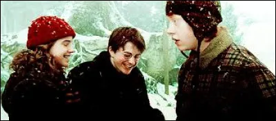Comment appelle-t-on Harry, Hermione, Ron dans la saga ?