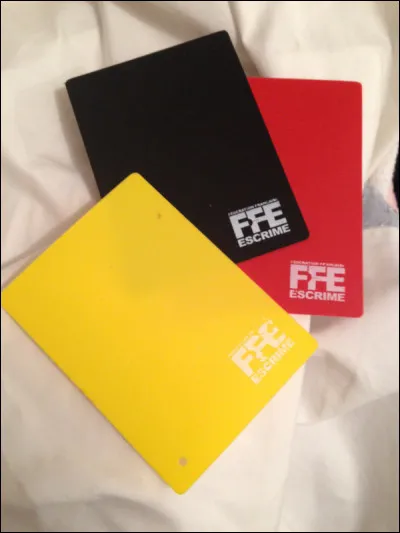 Quels cartons correspondent à une faute contre l'esprit sportif ?