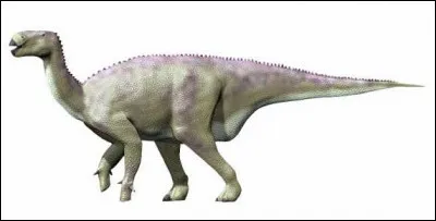 Comment se nomme ce dinosaure herbivore du Crétacé inférieur ?