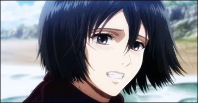 Qui est Mikasa ?