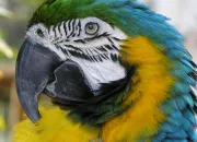 Test Quel ami es-tu ?