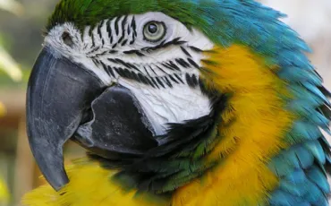 Quiz Test de personnalit�