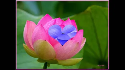 Associe la première lettre de ton prénom pour avoir le premier mot de ton nom dans "La Guerre des clans" :