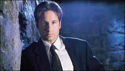Triangle est le 120e épisode de la série télévisée américaine ''X-Files, aux frontières du réel''. Quel est le nom du personnage masculin principal de la série ?