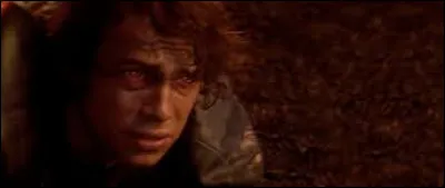 Qui sauve Anakin sur Mustafar ?