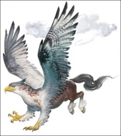 Quelle est la couleur des yeux de l'Hippogriffe ?
