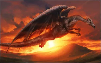 Combien existe-il d'espèces distinctes de Dragons à ce jour ?