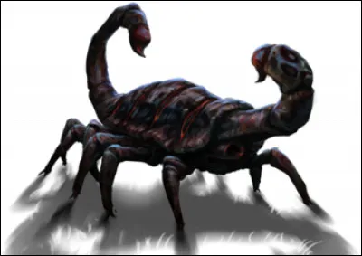 Le mâle Scroutt à Pétard a...