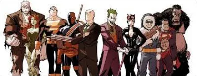 Lequel de ces super-vilains d&eacute;testes-tu le plus ?