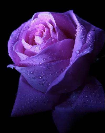 Drago aime-t-il une fille dans Poudlard ?