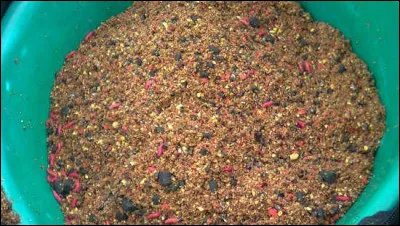 Quelle est cette préparation dont raffolent les poissons d'eau douce ?