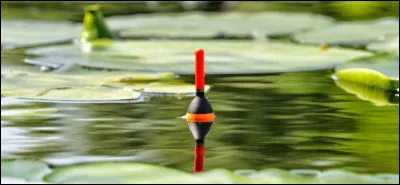 Il coule quand un poisson a mordu à l'hameçon. C'est :
