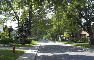 Quel est ton objectif ?