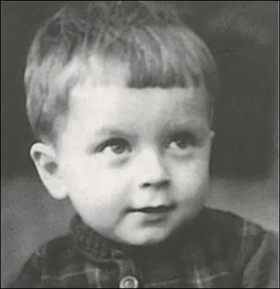 Indice : L'autre face de Mister Fox.