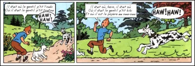 Dans un registre un peu différent et plus contemporain, Tintin essaie d'amadouer ce chien géant en lui susurrant une chanson de ...
