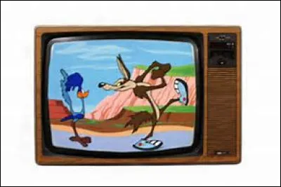 Quelle émission veux-tu regarder ?