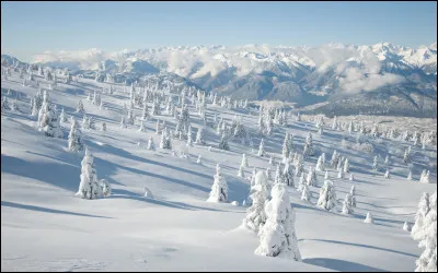 Qui s'appelle Février dans la série "Pour l'amour du risque" ?