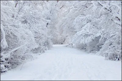 C'est Numa Pompilius qui a créé le mois de février : pourriez-vous me dire combien d'enfants viennent de lui ?