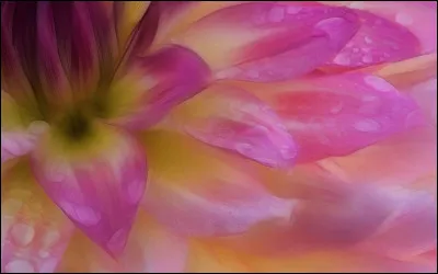 Comment traduire "bonne chance" en anglais ?