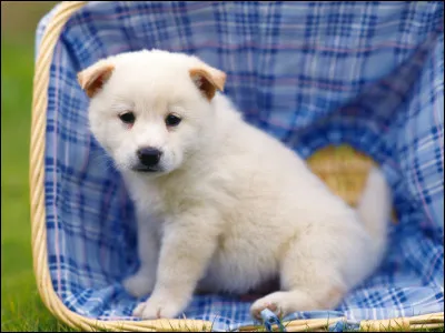 Combien de temps trouve-t-on en une mesure dans un morceau de musique ternaire ?