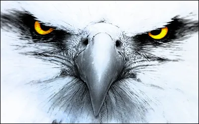 Ce n'est pas un synonyme de "comportement" :