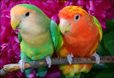 Ce n'est pas un synonyme de "art" :