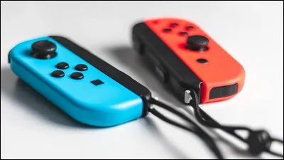 Comment s'appellent les manettes de la Switch affichées sur l'image ?