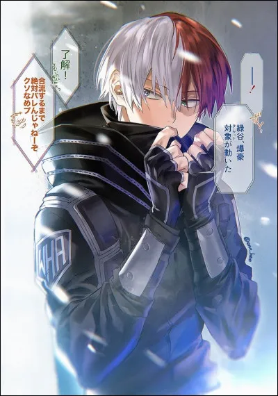 Shoto a-t-il déjà été maltraité ?