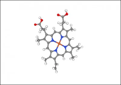 L'hémoglobine ci-contre est :