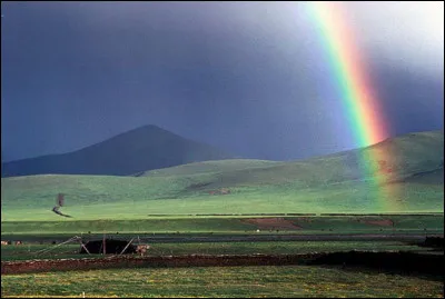 Ta couleur préférée est :