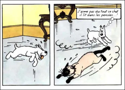 Un célèbre film d'animation (près de 20 ans déjà) > Milou reprend le rôle d'un animal - que dis-je - d'un héros !