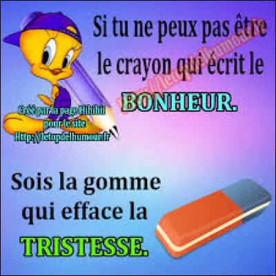 Depuis quelques jours, il pleut sans arrêt, le ciel est bas, les nuages abondants, exactement ce qu'il faut pour me filer le ... !