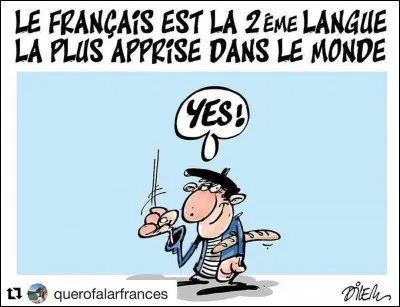 J'ai eu un problème avec la télévision, j'ai donc appelé le service de dépannage, mais je n'ai rien compris à ce que mon interlocuteur me disait, il parlait français comme ... !