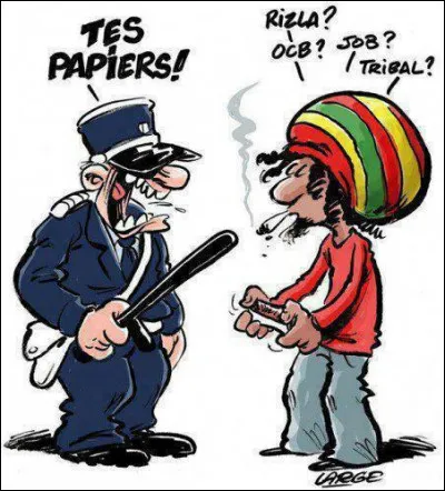 Lequel de ces mots n'est pas synonyme de flic dans le vocabulaire de la zone ?