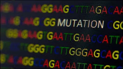 À quoi la méiose permet-elle d'aboutir ?