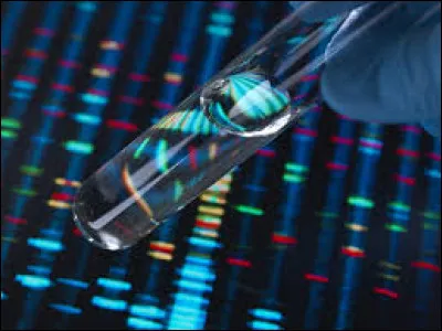 À quoi la mitose permet-elle d'aboutir ?